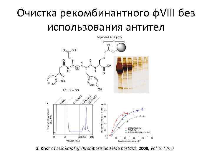 Очистка рекомбинантного ф. VIII без использования антител S. Knör et al Journal of Thrombosis
