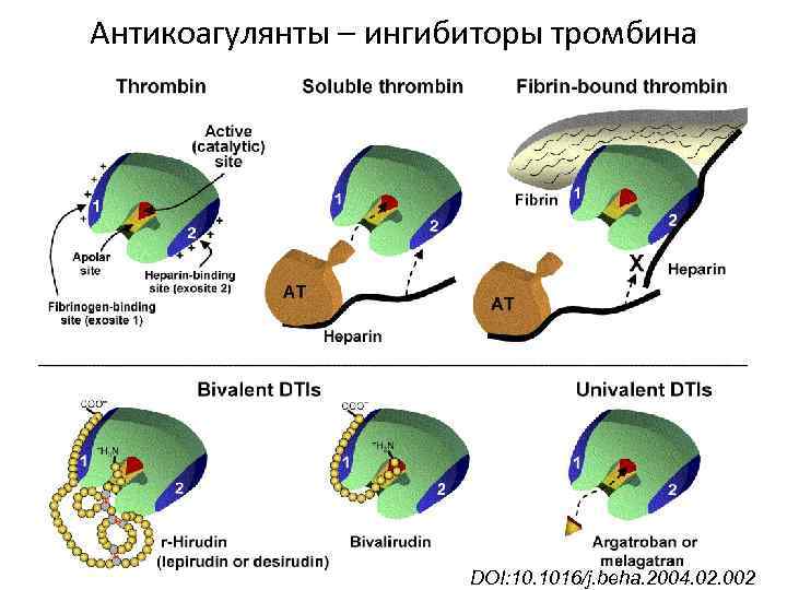 Антикоагулянты – ингибиторы тромбина DOI: 10. 1016/j. beha. 2004. 02. 002 