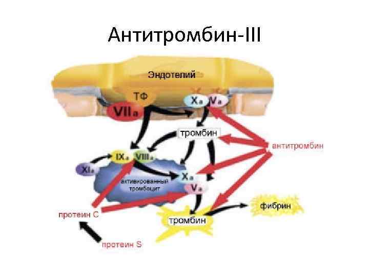 Антитромбин-III 