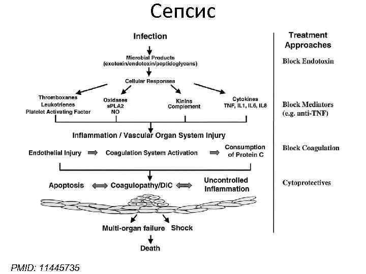 Сепсис PMID: 11445735 