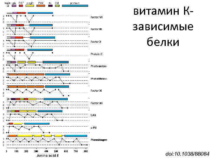 витамин Кзависимые белки doi: 10. 1038/88084 