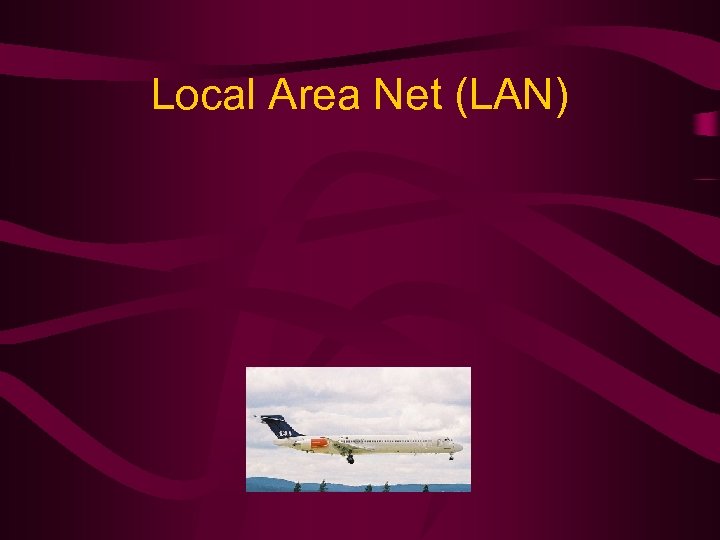 Local Area Net (LAN) 