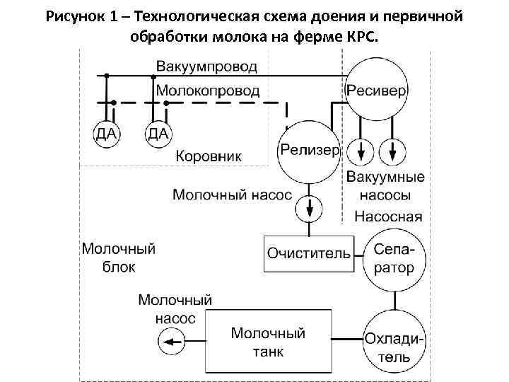 Рисунок 1 – Технологическая схема доения и первичной обработки молока на ферме КРС. 