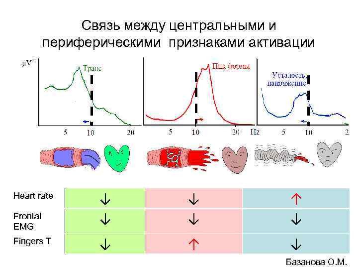 Связь между центральными и периферическими признаками активации Heart rate Frontal EMG Fingers T ↓