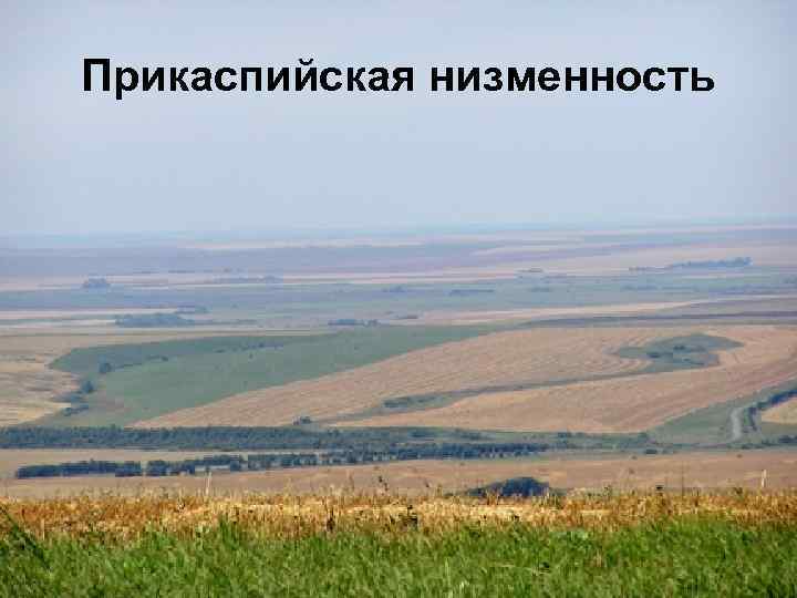 Прикаспийская низменность 