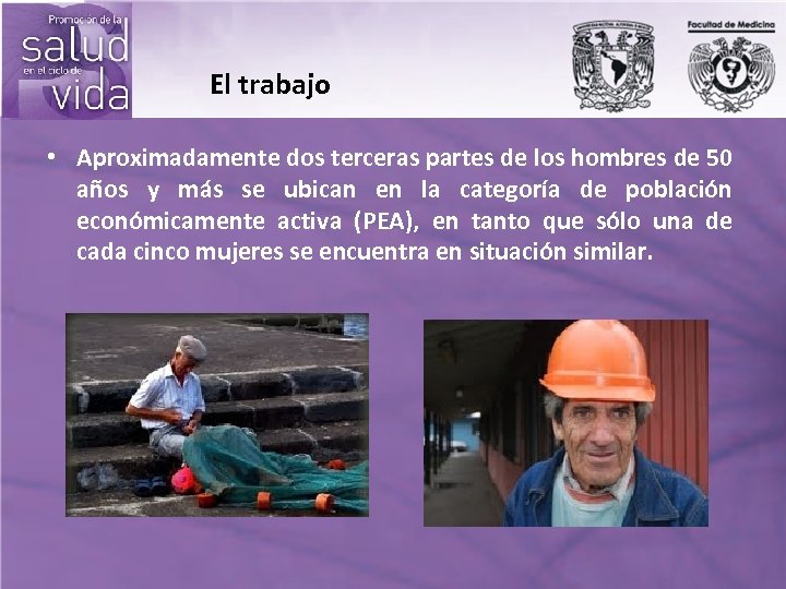 El trabajo • Aproximadamente dos terceras partes de los hombres de 50 años y