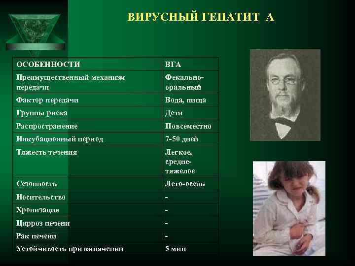 ВИРУСНЫЙ ГЕПАТИТ А ОСОБЕННОСТИ ВГА Преимущественный механизм передачи Фекальнооральный Фактор передачи Вода, пища Группы