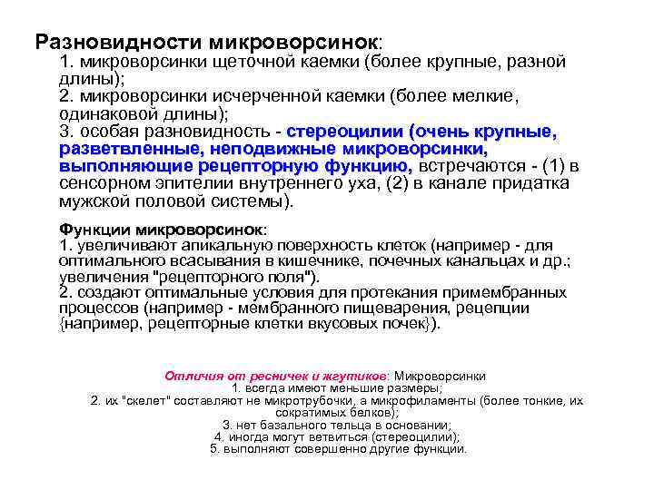 Разновидности микроворсинок: 1. микроворсинки щеточной каемки (более крупные, разной длины); 2. микроворсинки исчерченной каемки