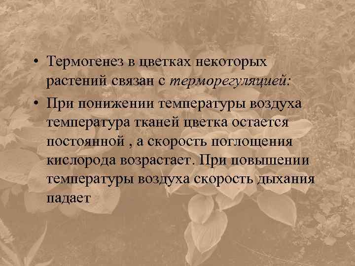  • Термогенез в цветках некоторых растений связан с терморегуляцией: • При понижении температуры
