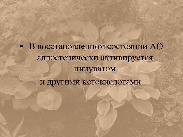  • В восстановленном состоянии АО аллостерически активируется пируватом и другими кетокислотами. 