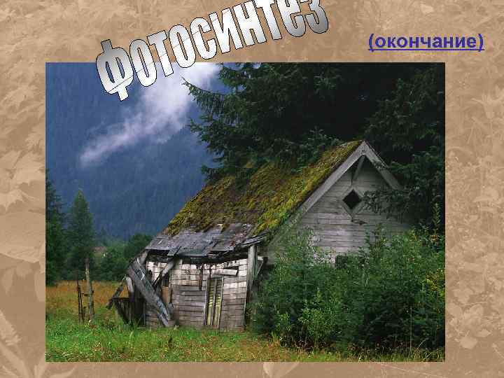 (окончание) 