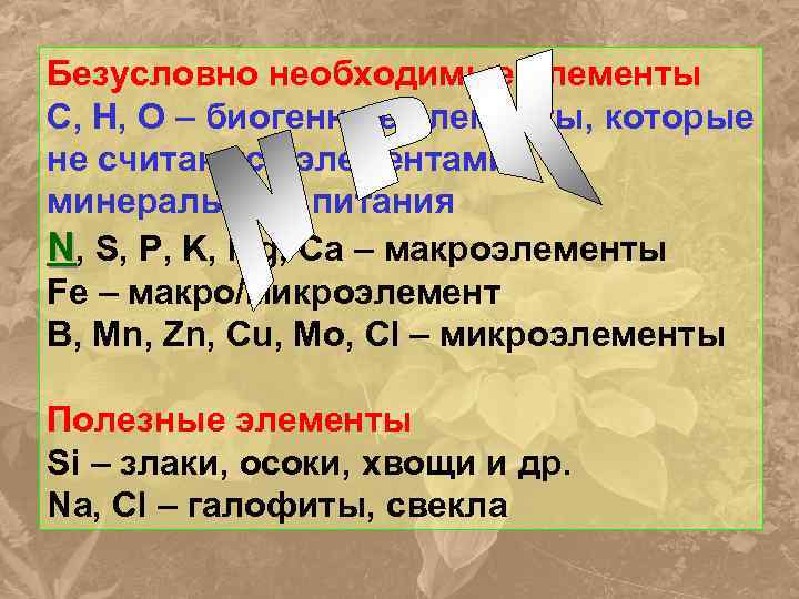 Безусловно необходимые элементы C, H, O – биогенные элементы, которые не считаются элементами минерального