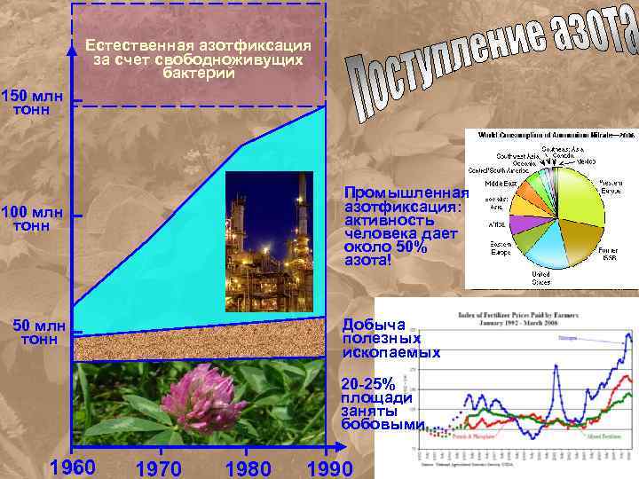Естественная азотфиксация за счет свободноживущих бактерий 150 млн тонн Промышленная азотфиксация: активность человека дает