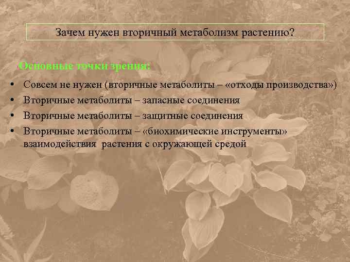 Зачем нужен вторичный метаболизм растению? Основные точки зрения: • • Совсем не нужен (вторичные