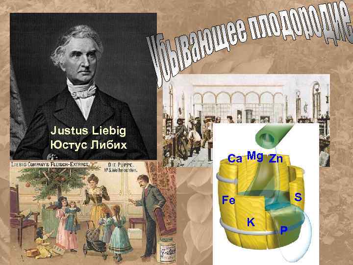 Justus Liebig Юстус Либих Ca Mg Zn S Fe K P 