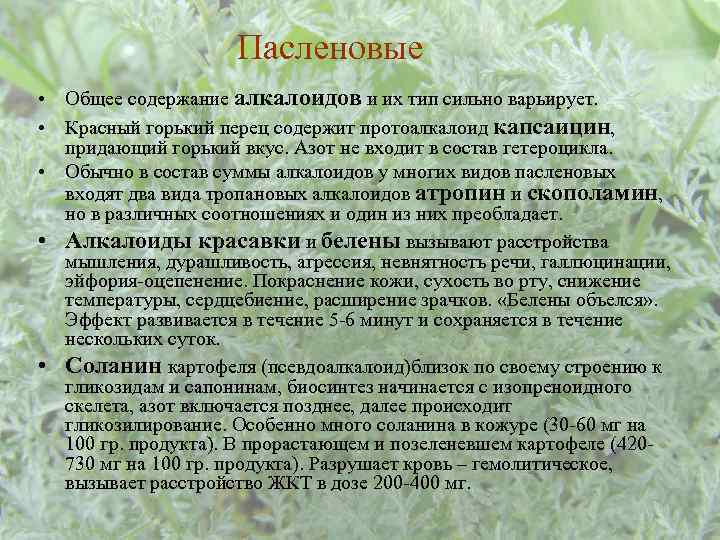 Пасленовые • Общее содержание алкалоидов и их тип сильно варьирует. • Красный горький перец