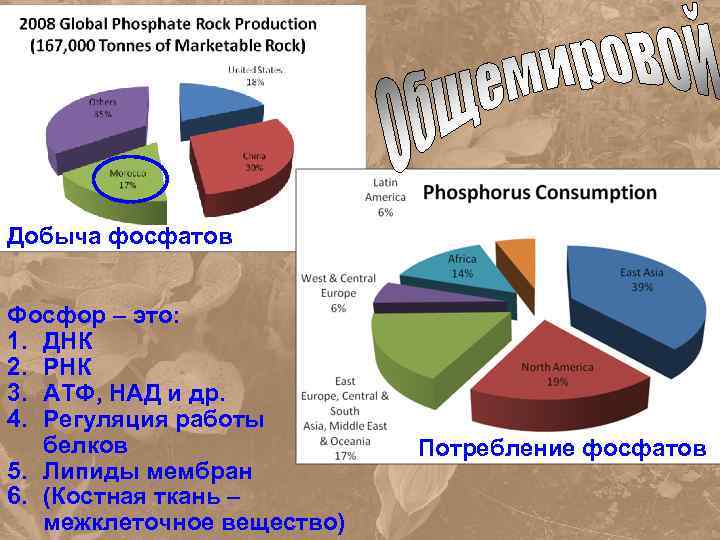 Добыча фосфатов Фосфор – это: 1. ДНК 2. РНК 3. АТФ, НАД и др.