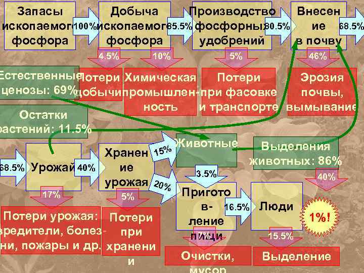 Запасы Добыча Производство Внесен 100% 85. 5% фосфорных 80. 5% ископаемого ие 68. 5%