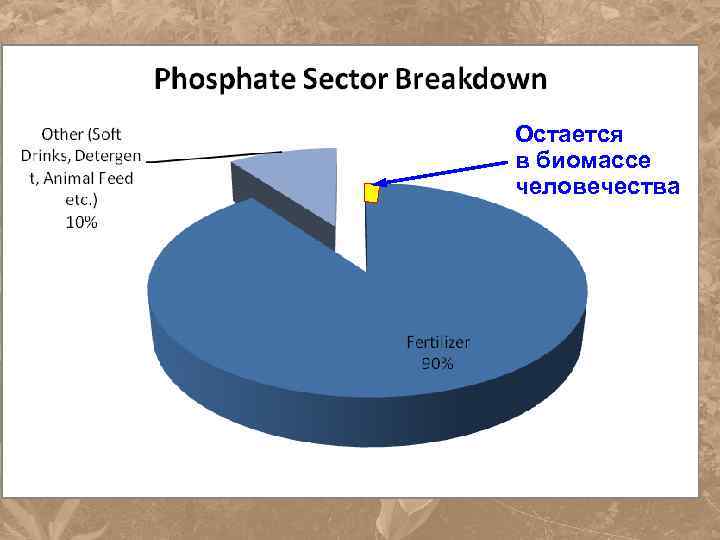Остается в биомассе человечества 