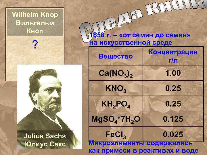 Wilhelm Knop Вильгельм Кноп ? 1858 г. – «от семян до семян» на искусственной