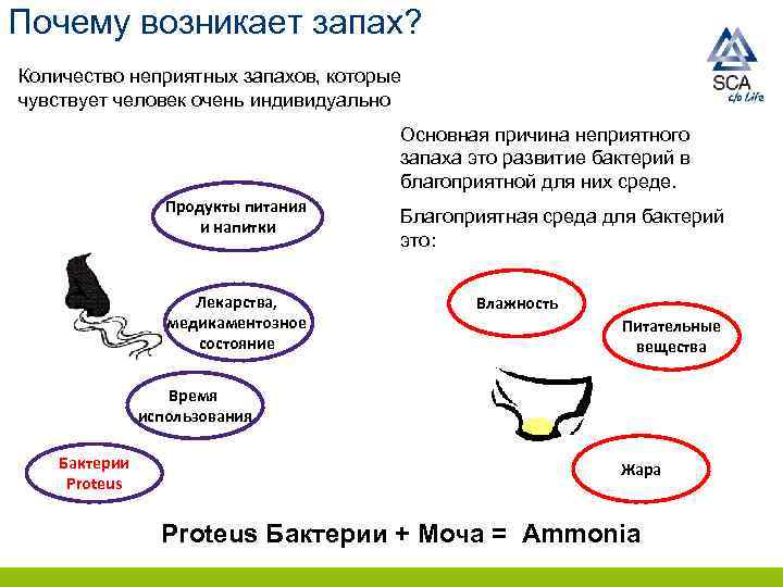 Почему возникает запах? Количество неприятных запахов, которые чувствует человек очень индивидуально Основная причина неприятного