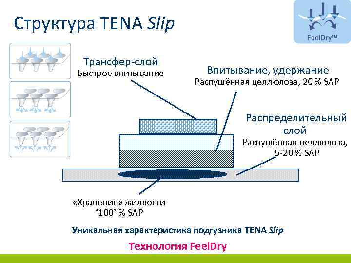 Структура TENA Slip Трансфер-слой Быстрое впитывание Впитывание, удержание Распушённая целлюлоза, 20 % SAP Распределительный