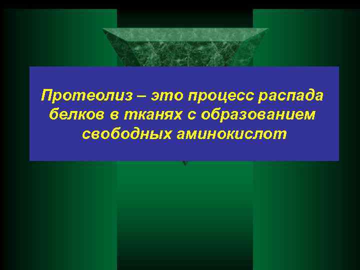 Протеолиз – это процесс распада белков в тканях с образованием свободных аминокислот 