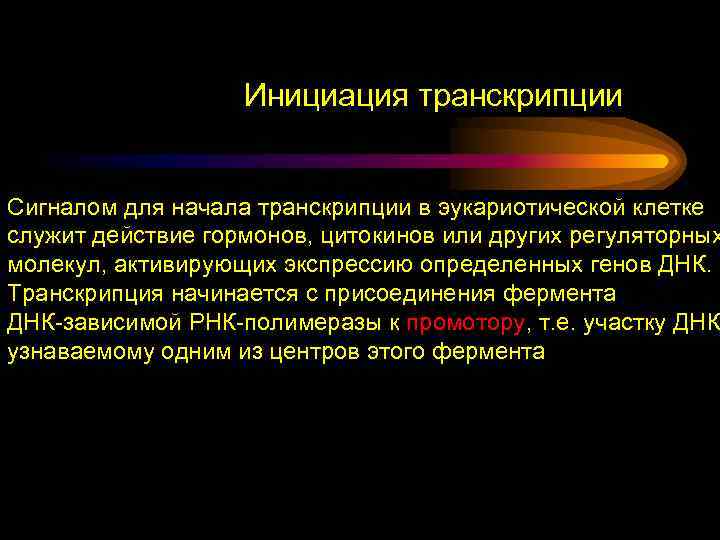 Инициация транскрипции Сигналом для начала транскрипции в эукариотической клетке служит действие гормонов, цитокинов или