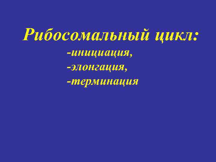 Рибосомальный цикл: -инициация, -элонгация, -терминация 