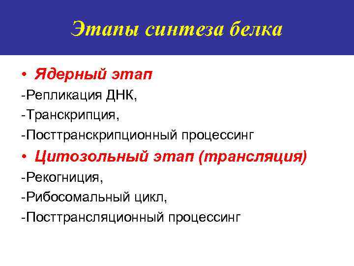 Этапы синтеза белка • Ядерный этап -Репликация ДНК, -Транскрипция, -Посттранскрипционный процессинг • Цитозольный этап