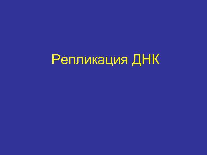 Репликация ДНК 
