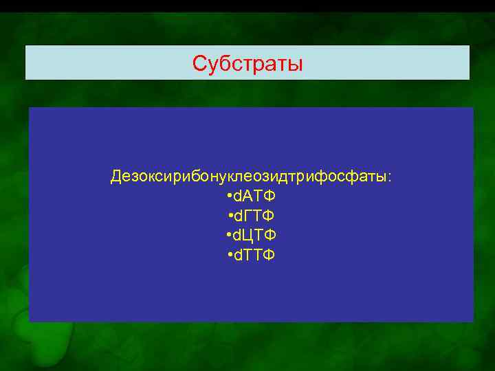 Субстраты Дезоксирибонуклеозидтрифосфаты: • d. АТФ • d. ГТФ • d. ЦТФ • d. ТТФ