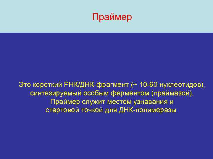 Праймер Это короткий РНК/ДНК-фрагмент (~ 10 -60 нуклеотидов), синтезируемый особым ферментом (праймазой). Праймер служит