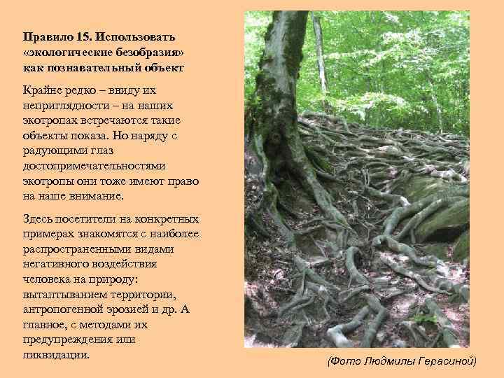 Правило 15. Использовать «экологические безобразия» как познавательный объект Крайне редко – ввиду их неприглядности