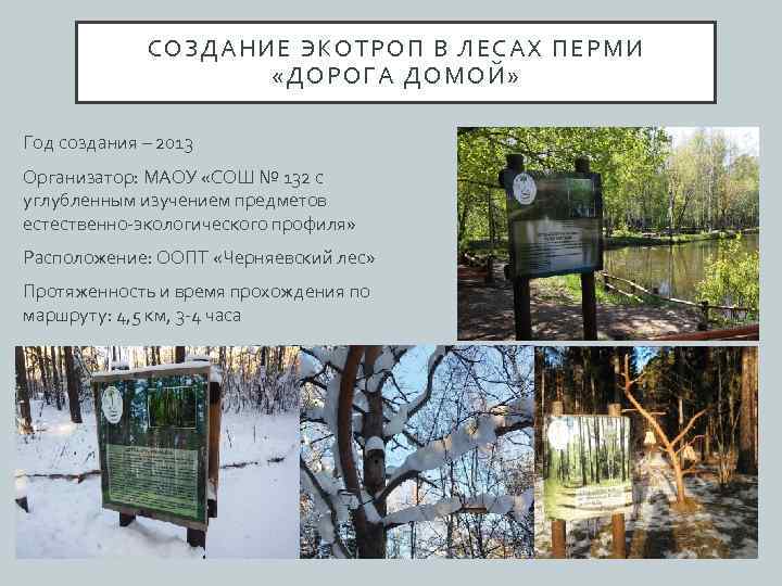 СОЗДАНИЕ ЭКОТРОП В ЛЕСАХ ПЕРМИ «ДОРОГА ДОМОЙ» Год создания – 2013 Организатор: МАОУ «СОШ