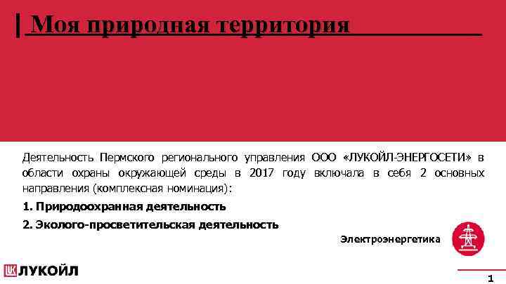 Моя природная территория Деятельность Пермского регионального управления ООО «ЛУКОЙЛ-ЭНЕРГОСЕТИ» в области охраны окружающей среды