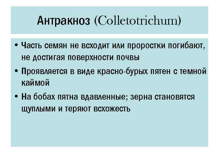 Антракноз (Colletotrichum) • Часть семян не всходит или проростки погибают, не достигая поверхности почвы