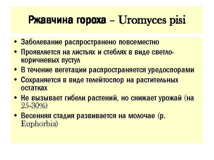 Ржавчина гороха – Uromyces pisi • Заболевание распространено повсеместно • Проявляется на листьях и