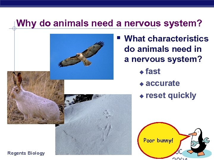 Why do animals need a nervous system? § What characteristics do animals need in