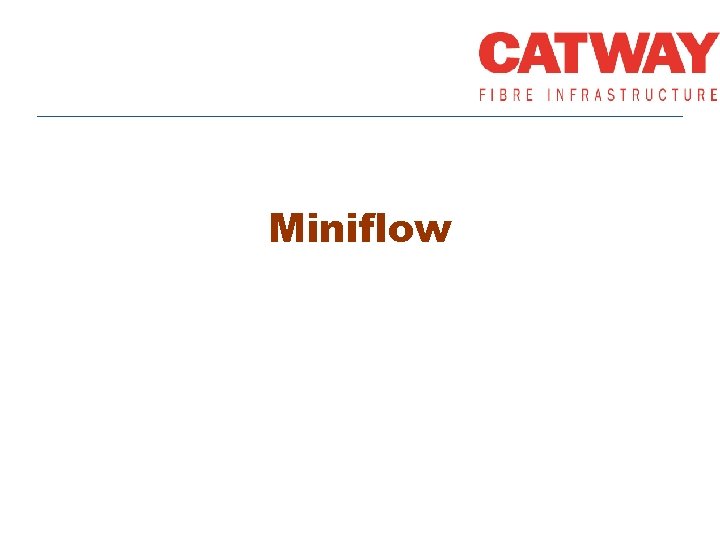 Miniflow 