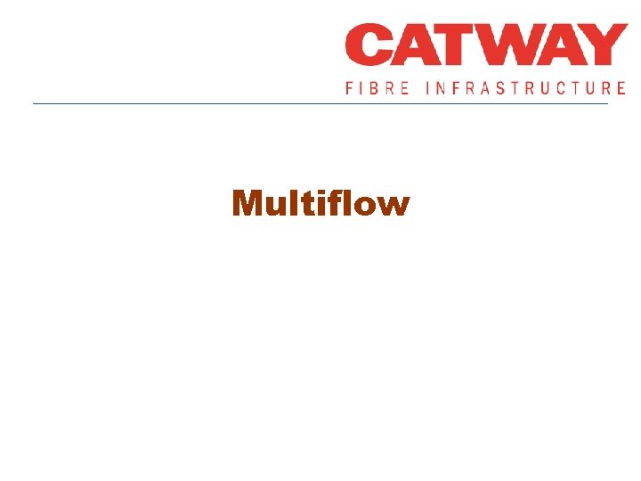 Multiflow 