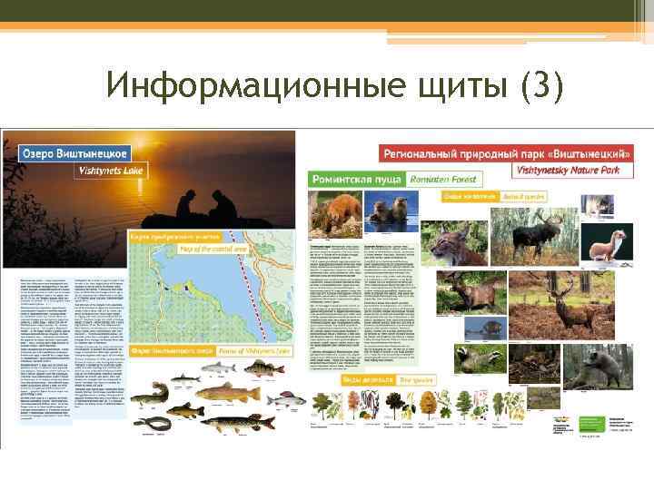 Информационные щиты (3) 