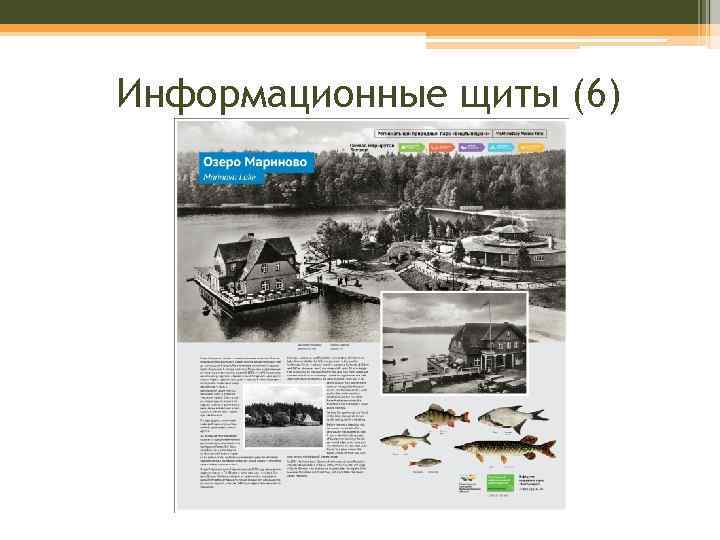 Информационные щиты (6) 