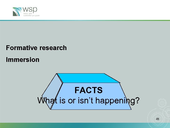 Formative research Immersion FACTS What is or isn’t happening? 45 