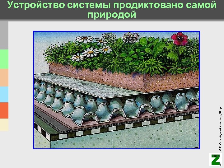 © Zin. Co – Vegetationstechnik_08. ppt Устройство системы продиктовано самой природой 