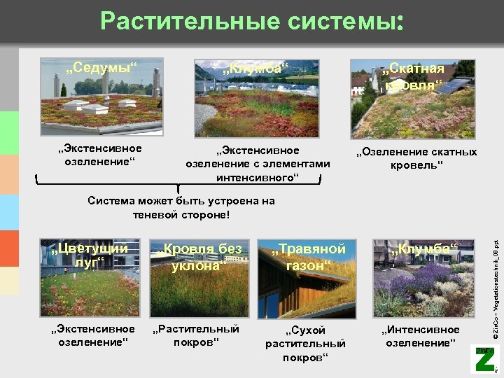 Растительные системы: „Седумы“ „Клумба“ „Скатная кровля“ „Экстенсивное озеленение с элементами интенсивного“ „Озеленение скатных кровель“