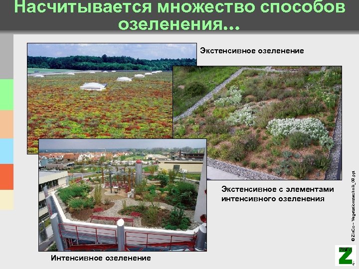 Насчитывается множество способов озеленения… Экстенсивное с элементами интенсивного озеленения Интенсивное озеленение © Zin. Co