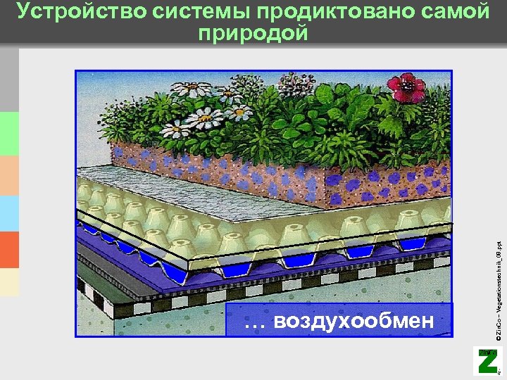 … воздухообмен © Zin. Co – Vegetationstechnik_08. ppt Устройство системы продиктовано самой природой 