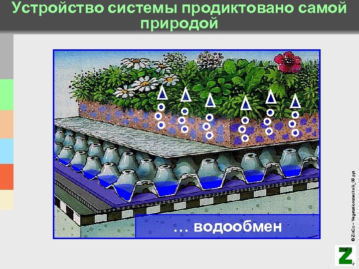 … водообмен © Zin. Co – Vegetationstechnik_08. ppt Устройство системы продиктовано самой природой 
