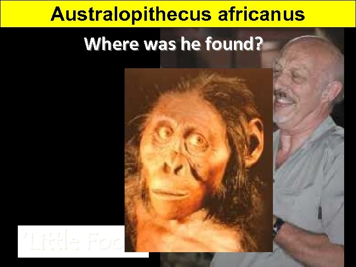 Australopithecus africanus - Slight divergence of the big toe Where was he found? species